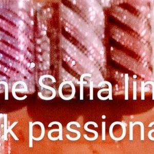 Signature lighter armor bic 6